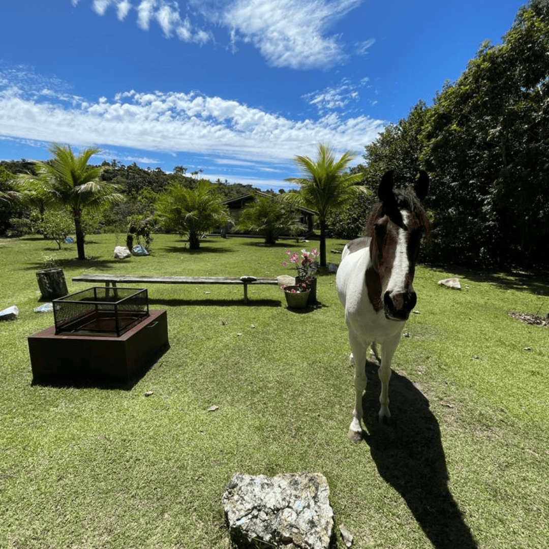 Marvelous Mansion with a Large Plot, Rio da Barra — photo 4